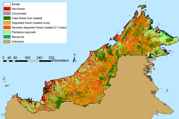 Logging Malaysian Borneo Sabah & Sarawak