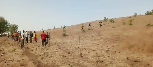 Tree Planting in Rhumsiki, Cameroon